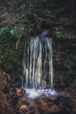 Izborsk, Rusya'nın kutsal yaylar