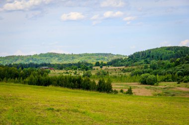 Pskov, Izborsk yakın Rus alan alanlarda