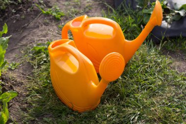 Kırpma sulama için farklı sulama olabilir