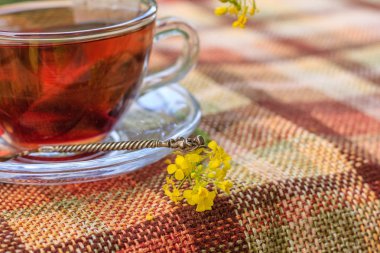 Fincan çay ve kır çiçekleri