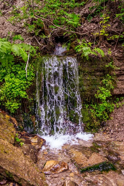 Szent Springs Izborsk Oroszország — Stock Fotó