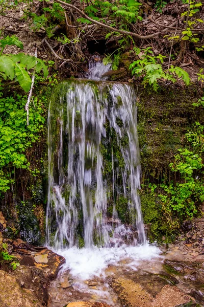 Szent Springs Izborsk Oroszország — Stock Fotó