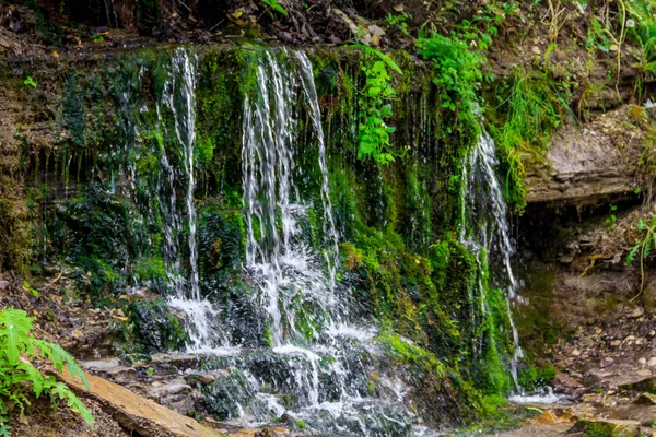 Izborsk Rusya Nın Kutsal Yaylar — Stok fotoğraf