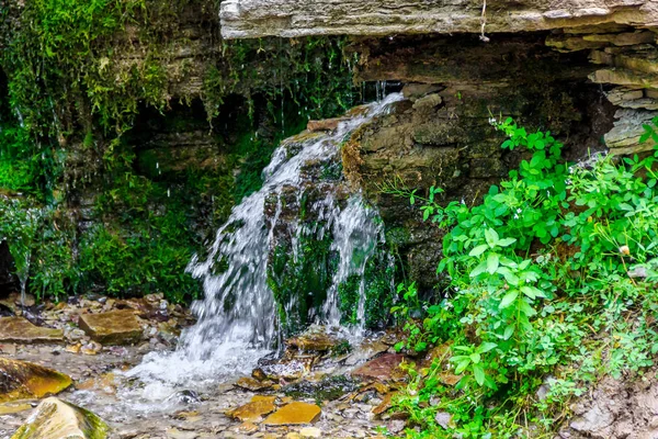 Izborsk Rusya Nın Kutsal Yaylar — Stok fotoğraf