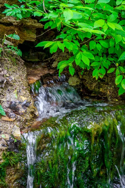 Święty Sprężyny Izborsk Rosja — Zdjęcie stockowe