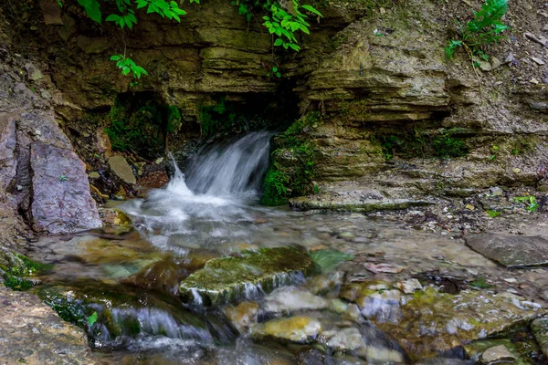 Szent Springs Izborsk Oroszország — Stock Fotó