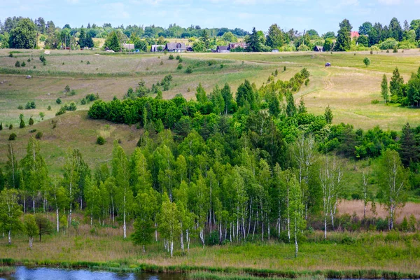 Ruská Pole Mezery Poblíž Pskov Izborsk — Stock fotografie