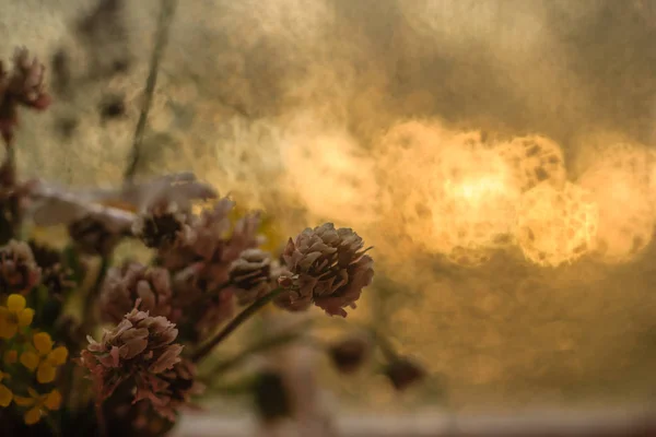 Polne Kwiaty Lato Pięknym Wazonie — Zdjęcie stockowe