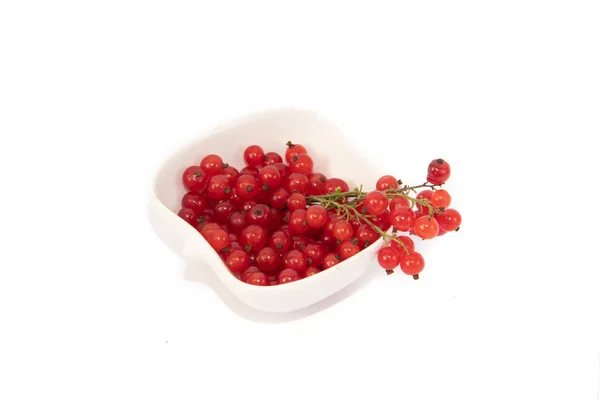 白地に赤スグリ 白い背景にベリー 健康的な食事 酸っぱいベリー — ストック写真