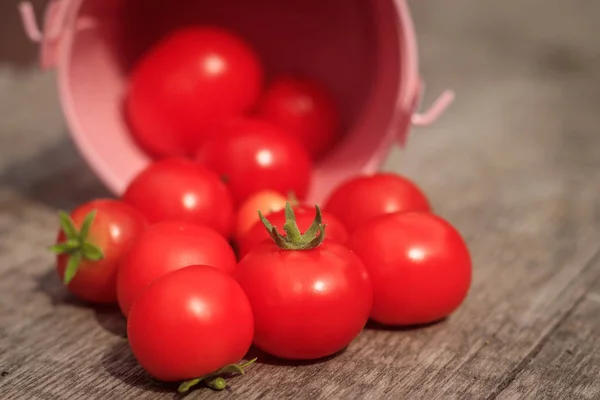 나무 바탕에 체리 토마토입니다. 가 수확. — 스톡 사진