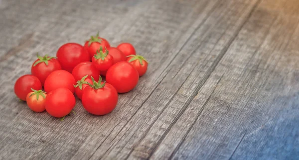 바탕에 토마토입니다 수확입니다 — 스톡 사진