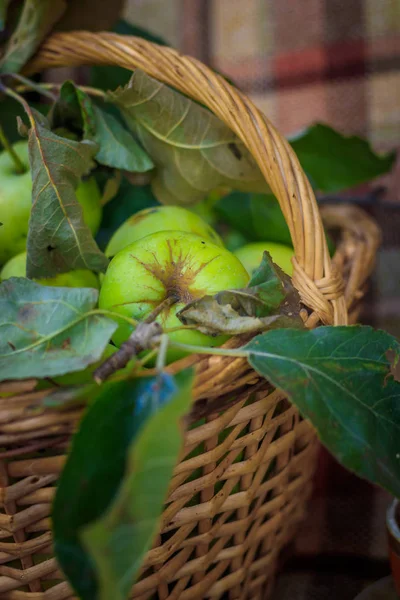 Korg Med Äpplen Höstens Skörd Insamlade Hemmagjord Äpplen Korgen Hälsosam — Stockfoto
