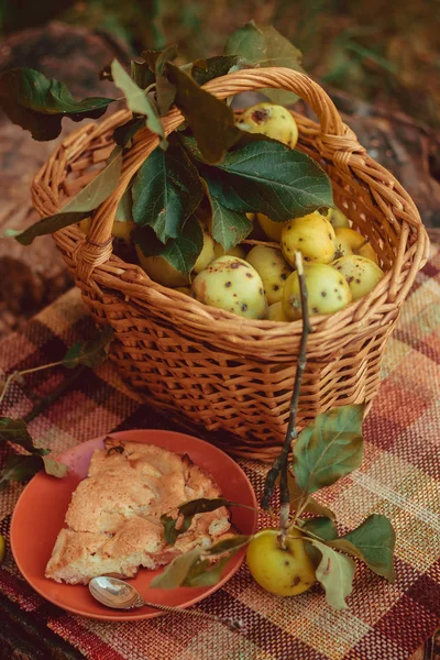 Korg Med Äpplen Och Charlotte Från Äpplen Höstens Skörd Insamlade — Stockfoto