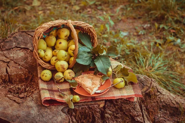 Korg Med Äpplen Och Charlotte Från Äpplen Höstens Skörd Insamlade — Stockfoto