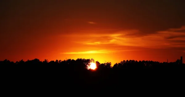 Sommerabend Sonnenuntergang Auf Einem Feld Russische Landschaften Ein Naturphänomen Orangefarbener — Stockfoto