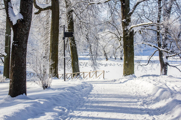 Morning winter frosty landscape in the park. Winter landscape. Severe frost, snowy trees, sunny weather. Beautiful winter seasonal background. Winter frost in the park