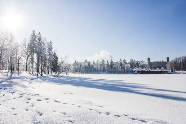 Manhã inverno paisagem gelada no parque. Paisagem de inverno. Gelo severo, árvores nevadas, tempo ensolarado. Belo inverno sazonal fundo . — Fotografia de Stock