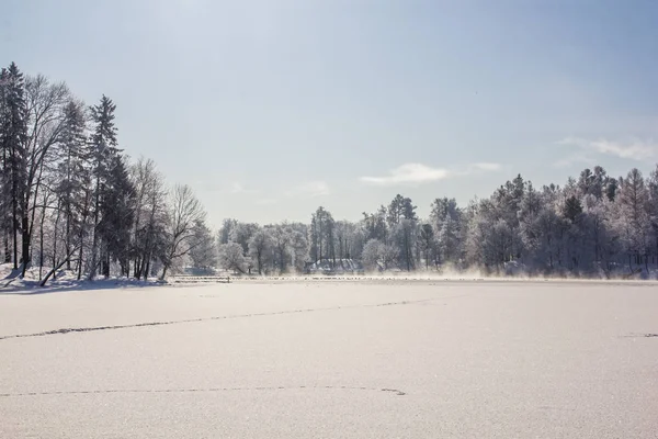 Manhã inverno paisagem gelada no parque. Paisagem de inverno. Gelo severo, árvores nevadas, tempo ensolarado. Belo inverno sazonal fundo . — Fotografia de Stock