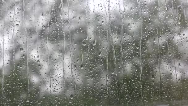 Raindrops Running Window Drops Water Flow Glass Summer Rain Cloudy — Stock Video