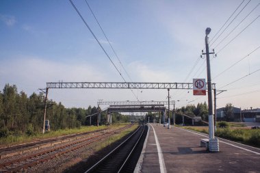 Dandelions ve mavi gökyüzü ve yeşil ağaçlar altında kaçmak demiryolu ile yeşil alanın perspektif görünüm