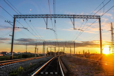 Dandelions ve mavi gökyüzü ve yeşil ağaçlar altında kaçmak demiryolu ile yeşil alanın perspektif görünüm