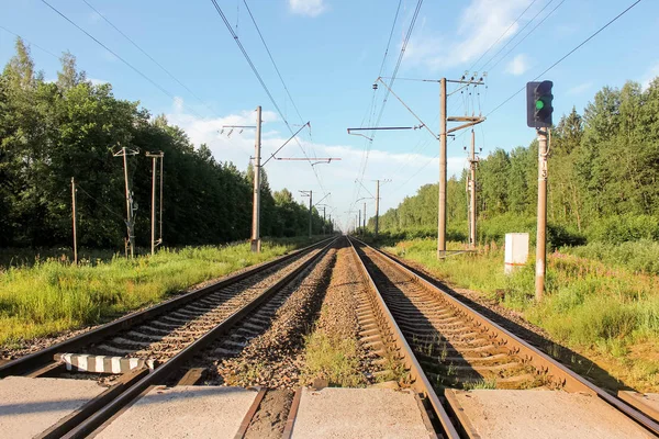 Perspectief uitzicht op groen gebied met paardebloemen en spoorweg weglopen onder de blauwe hemel en groene bomen — Stockfoto