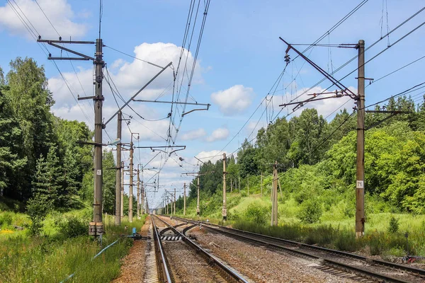 Perspektivischer Blick auf das grüne Feld mit Löwenzahn und Eisenbahn, die unter blauem Himmel und grünen Bäumen davonlaufen — Stockfoto