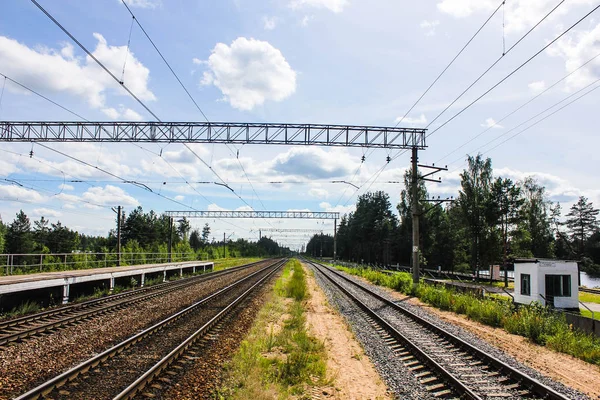 Vista prospectiva do campo verde com dentes-de-leão e ferrovia fugindo sob o céu azul e árvores verdes — Fotografia de Stock