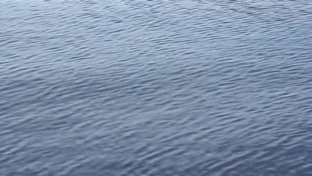 vue sur mer calme, paysage marin vidéo 