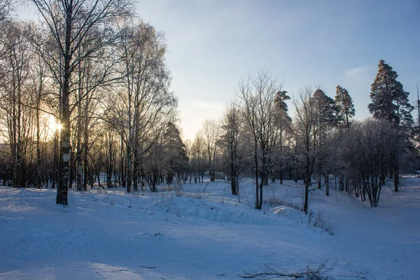 Winter Landschap Bij Helder Weer Frosty Daglicht Bij Zonsondergang — Stockfoto