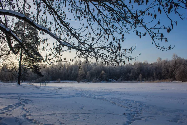 Winter landscape in clear weather. Frosty daylight at sunset