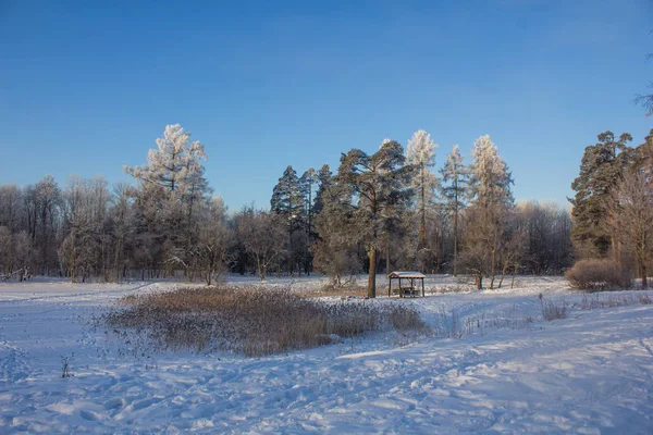 Winter Landschap Bij Helder Weer Frosty Daglicht Bij Zonsondergang — Stockfoto