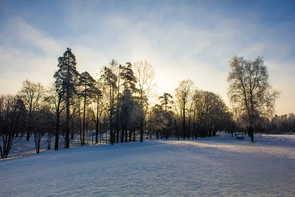 Winter landscape in clear weather. Frosty daylight at sunset