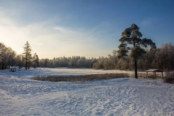 Paesaggio Invernale Con Tempo Limpido Luce Gelida Tramonto — Foto Stock