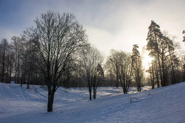 Paesaggio Invernale Con Tempo Limpido Luce Gelida Tramonto — Foto Stock