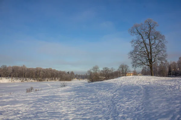 Winter Landscape Clear Weather Frosty Daylight Sunset — Stock Photo, Image