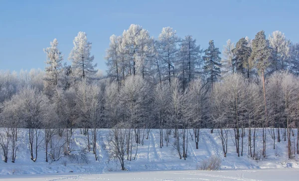 Χειμερινό Τοπίο Στο Καθαρό Καιρό Παγωμένο Φως Της Ημέρας Στο — Φωτογραφία Αρχείου