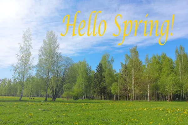 Olá Foto Primavera Cartão Felicitações Imagem Primavera Texto Hello Spring — Fotografia de Stock