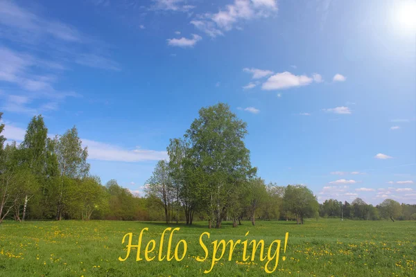 Witam Wiosna Obraz Kartkę Życzeniami Wiosenne Obrazu Tekst Hello Wiosna — Zdjęcie stockowe