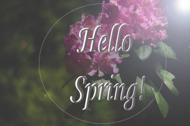 Merhaba, bahar resim. Tebrik kartı. Resim metin Merhaba bahar bahar