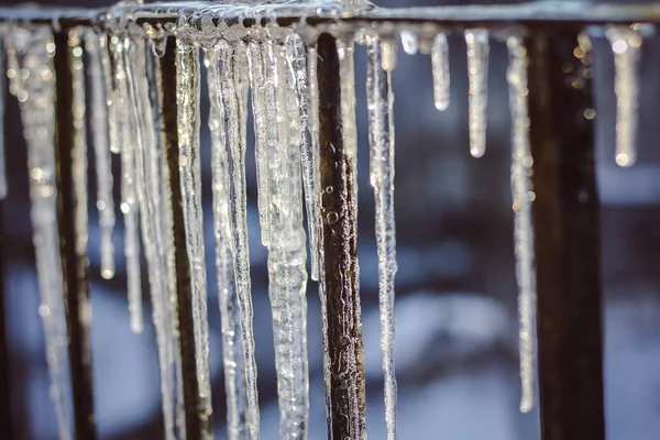Close Icicles Bright Winter Day — Stock Photo, Image
