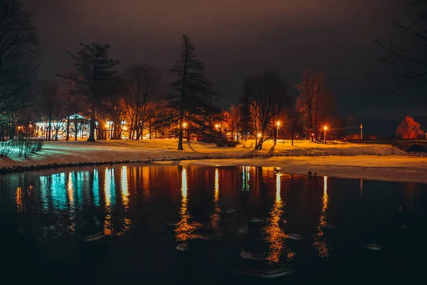 Vista Iluminación Del Parque Invierno Por Noche —  Fotos de Stock