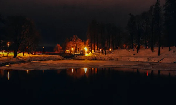 夜間の冬の公園照明の眺め — ストック写真