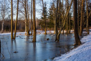 Beautiful March landscape view