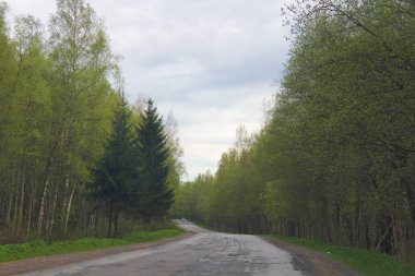 Güzel yaz manzarası. Doğa, seyahat