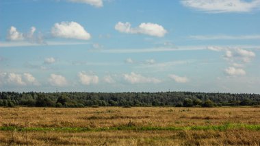 Güzel yaz manzarası. Doğa, seyahat