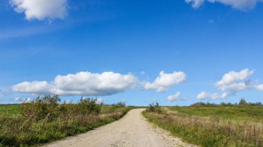 Güzel yaz manzarası. Doğa, seyahat