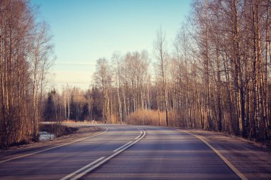 Boş sonbahar yol görünümü