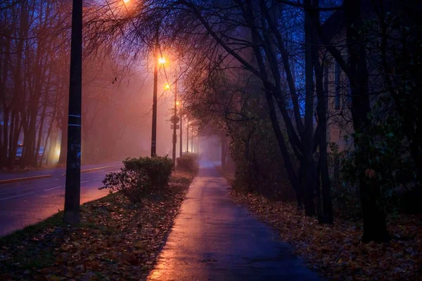 Empty Night Road View — Stock Photo, Image