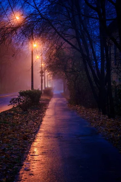 Empty Night Road View — Stock Photo, Image